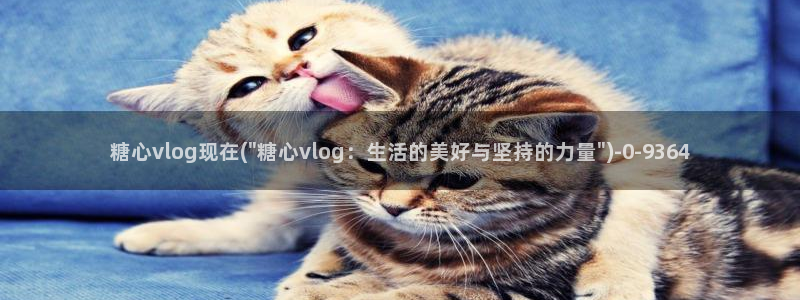 糖心在